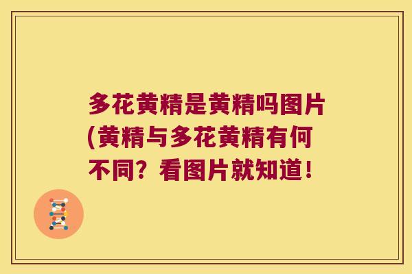 多花黄精是黄精吗图片(黄精与多花黄精有何不同?看图片就知道! 多花黄精是黄精吗图片(黄精与多花黄精有何不同?看图片就知道!