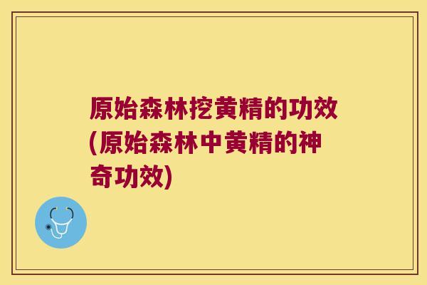 原始森林挖黄精的功效(原始森林中黄精的神奇功效)
