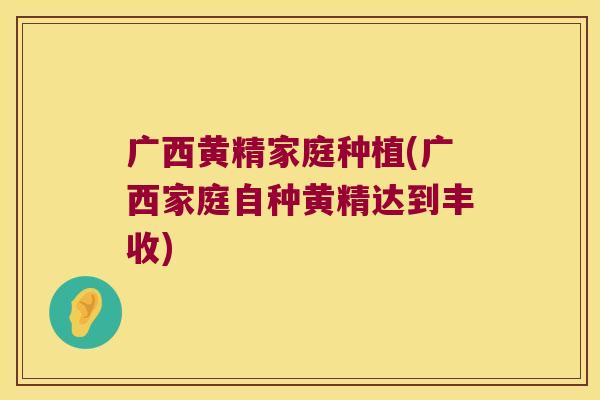 广西黄精家庭种植(广西家庭自种黄精达到丰收)