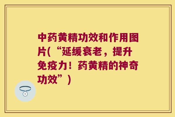 黄精功效和作用图片(“延缓，提升力！药黄精的神奇功效”)
