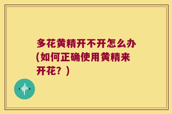 多花黄精开不开怎么办(如何正确使用黄精来开花？)