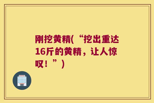 刚挖黄精(“挖出重达16斤的黄精，让人惊叹！”)
