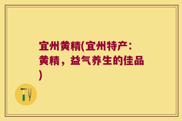 宜州黄精(宜州特产：黄精，益气养生的佳品)