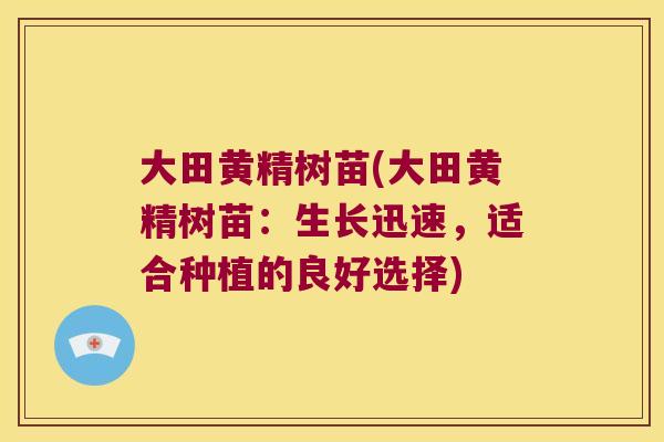 大田黄精树苗(大田黄精树苗：生长迅速，适合种植的良好选择)