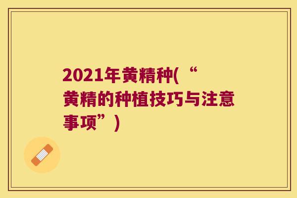 2021年黄精种(“黄精的种植技巧与注意事项”) 2021年黄精种(“黄精的种植技巧与注意事项”)