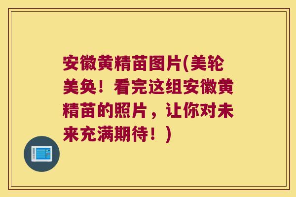 安徽黄精苗图片(美轮美奂!看完这组安徽黄精苗的照片,让你对未来充满期待!) 安徽黄精苗图片(美轮美奂!看完这组安徽黄精苗的照片,让你对未来充满期待!)
