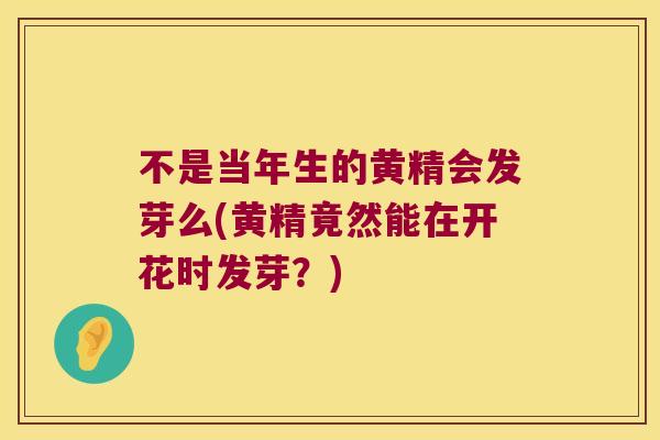 不是当年生的黄精会发芽么(黄精竟然能在开花时发芽?) 不是当年生的黄精会发芽么(黄精竟然能在开花时发芽?)