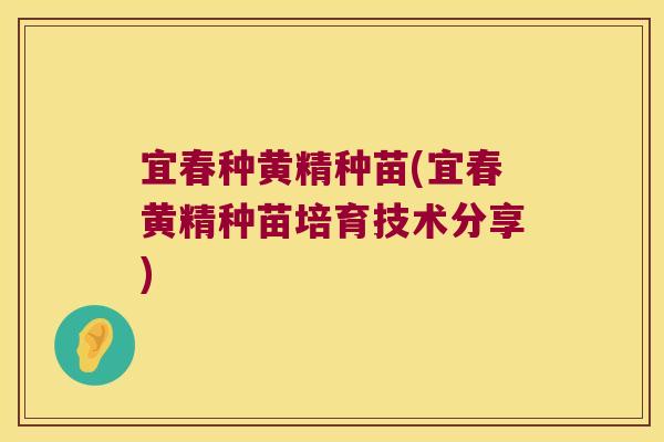 宜春种黄精种苗(宜春黄精种苗培育技术分享) 宜春种黄精种苗(宜春黄精种苗培育技术分享)