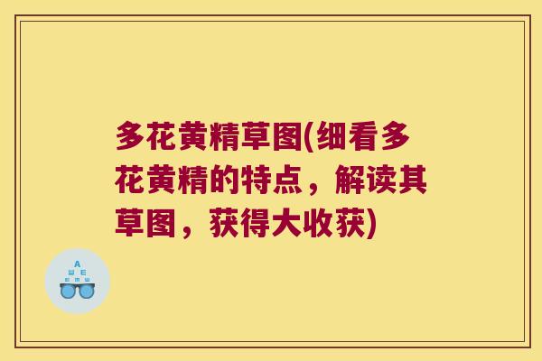 多花黄精草图(细看多花黄精的特点，解读其草图，获得大收获)