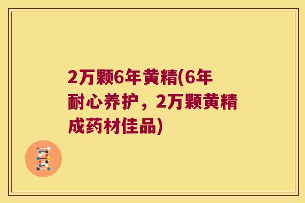 2万颗6年黄精(6年耐心养护,2万颗黄精成药材佳品) 2万颗6年黄精(6年耐心养护,2万颗黄精成药材佳品)