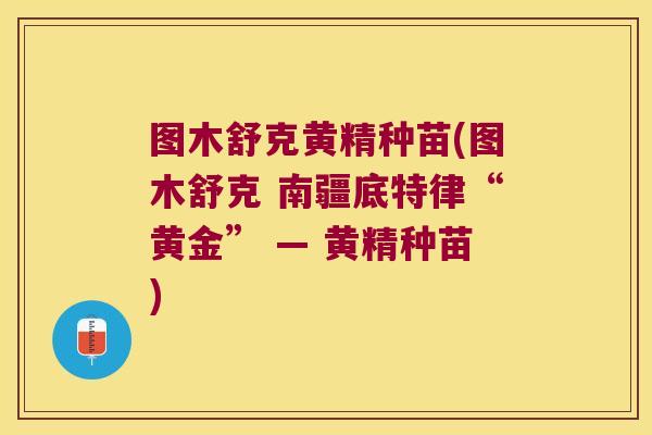 图木舒克黄精种苗(图木舒克 南疆底特律“黄金” — 黄精种苗)