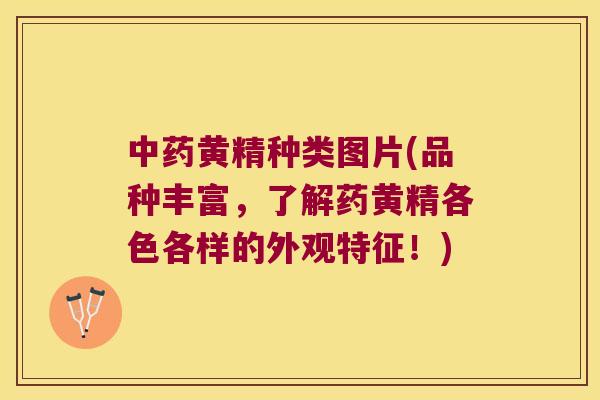黄精种类图片(品种丰富，了解药黄精各色各样的外观特征！)