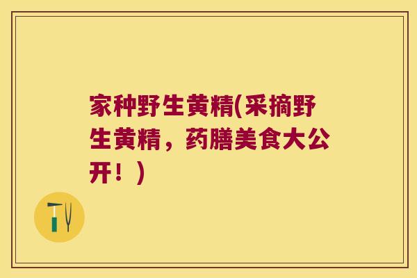 家种野生黄精(采摘野生黄精,药膳美食大公开!) 家种野生黄精(采摘野生黄精,药膳美食大公开!)