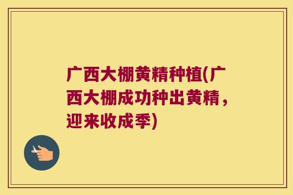 广西大棚黄精种植(广西大棚成功种出黄精，迎来收成季)