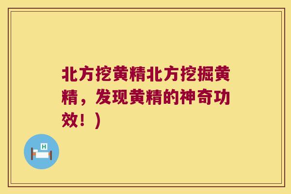 北方挖黄精北方挖掘黄精,发现黄精的神奇功效!) 北方挖黄精北方挖掘黄精,发现黄精的神奇功效!)