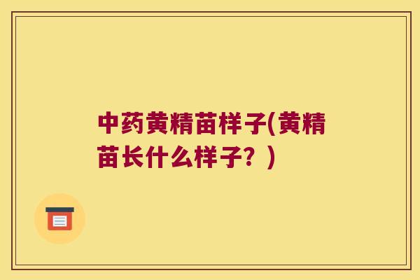 黄精苗样子(黄精苗长什么样子？)