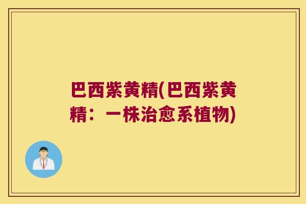 巴西紫黄精(巴西紫黄精:一株愈系植物) 巴西紫黄精(巴西紫黄精:一株愈系植物)