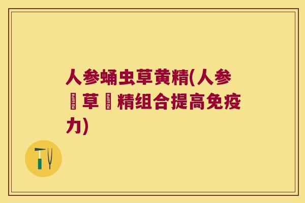 人参蛹虫草黄精(人参蟲草黃精组合提高力)