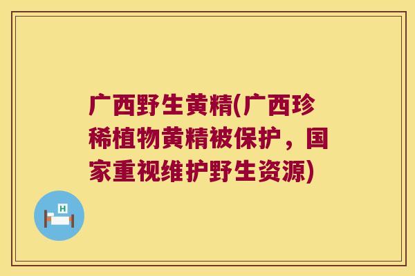 广西野生黄精(广西珍稀植物黄精被保护，国家重视维护野生资源)