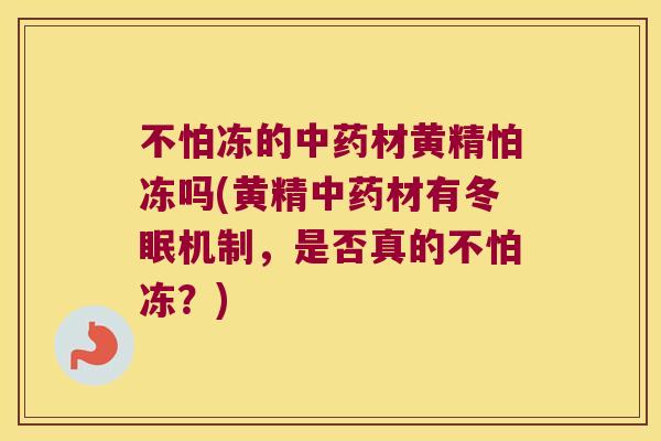 不怕冻的材黄精怕冻吗(黄精材有冬眠机制，是否真的不怕冻？)