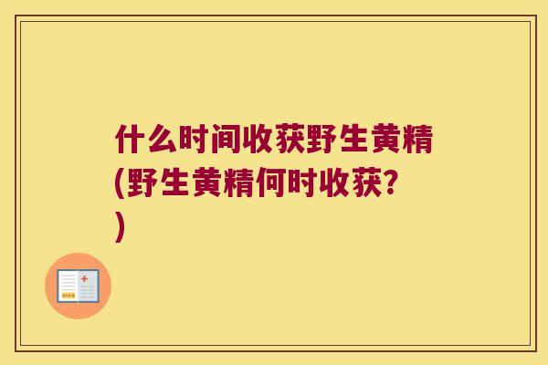 什么时间收获野生黄精(野生黄精何时收获？)