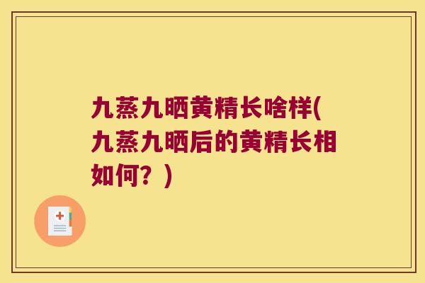 九蒸九晒黄精长啥样(九蒸九晒后的黄精长相如何？)