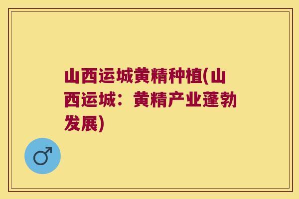山西运城黄精种植(山西运城：黄精产业蓬勃发展)