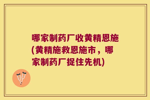 哪家制药厂收黄精恩施(黄精施救恩施市，哪家制药厂捉住先机)