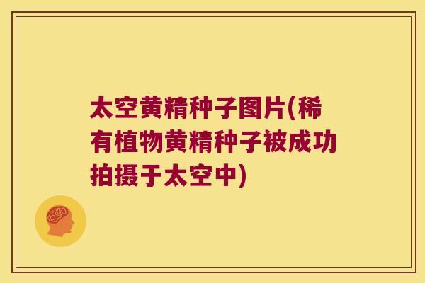 太空黄精种子图片(稀有植物黄精种子被成功拍摄于太空中)