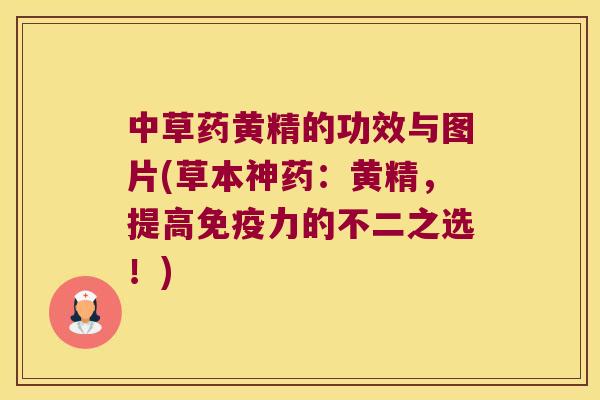 中草药黄精的功效与图片(草本神药：黄精，提高力的不二之选！)