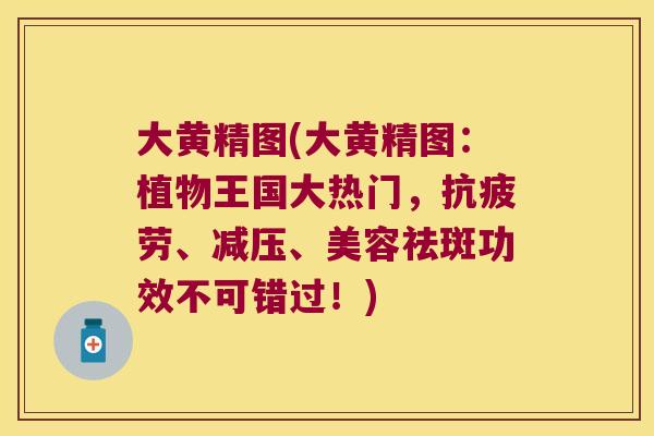 大黄精图(大黄精图：植物王国大热门，、减压、美容祛斑功效不可错过！)