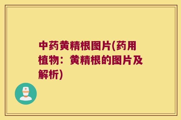 黄精根图片(药用植物：黄精根的图片及解析)