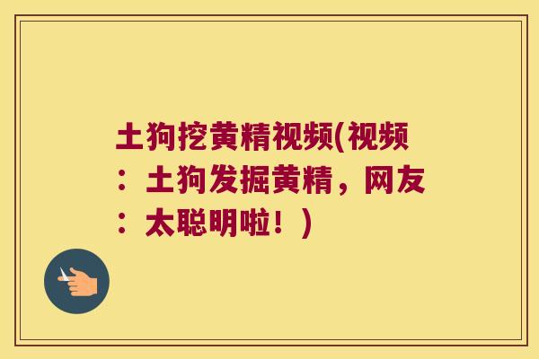 土狗挖黄精视频(视频：土狗发掘黄精，网友：太聪明啦！)
