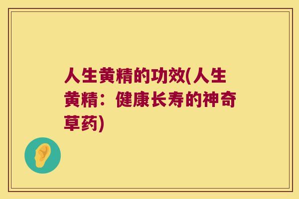 人生黄精的功效(人生黄精：健康长寿的神奇草药)