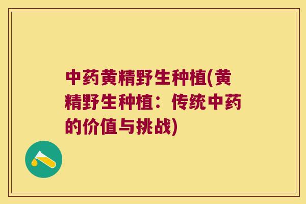 黄精野生种植(黄精野生种植：传统的价值与挑战)