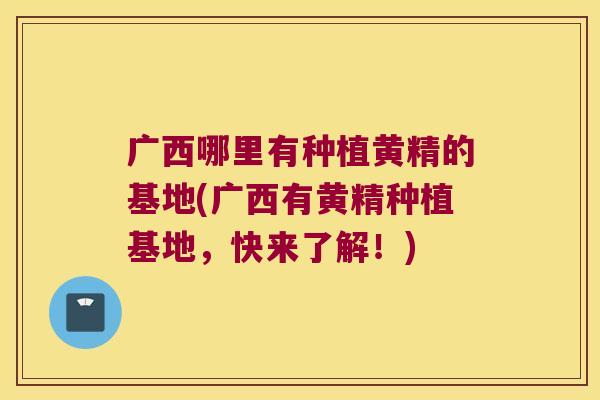 广西哪里有种植黄精的基地(广西有黄精种植基地，快来了解！)