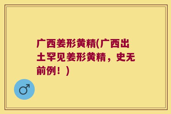 广西姜形黄精(广西出土罕见姜形黄精,史无前例!) 广西姜形黄精(广西出土罕见姜形黄精,史无前例!)