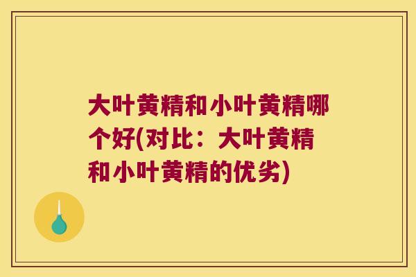 大叶黄精和小叶黄精哪个好(对比:大叶黄精和小叶黄精的优劣) 大叶黄精和小叶黄精哪个好(对比:大叶黄精和小叶黄精的优劣)