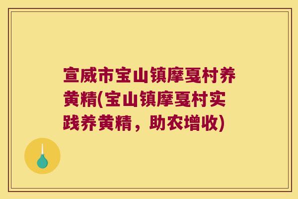 宣威市宝山镇摩戛村养黄精(宝山镇摩戛村实践养黄精,助农增收) 宣威市宝山镇摩戛村养黄精(宝山镇摩戛村实践养黄精,助农增收)