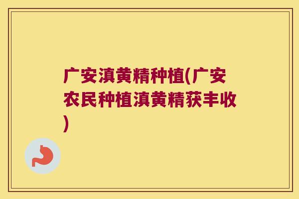 广安滇黄精种植(广安农民种植滇黄精获丰收) 广安滇黄精种植(广安农民种植滇黄精获丰收)