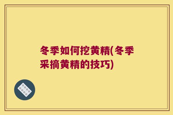 冬季如何挖黄精(冬季采摘黄精的技巧) 冬季如何挖黄精(冬季采摘黄精的技巧)