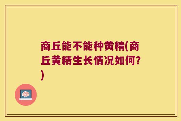商丘能不能种黄精(商丘黄精生长情况如何？)