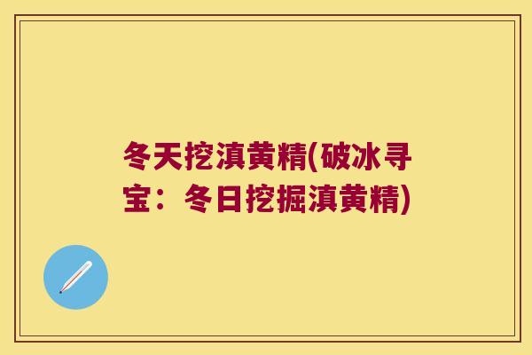 冬天挖滇黄精(破冰寻宝：冬日挖掘滇黄精)
