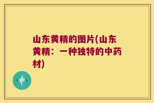 山东黄精的图片(山东黄精：一种独特的材)