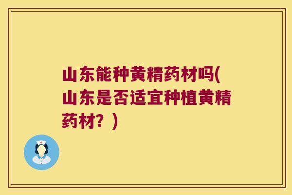 山东能种黄精药材吗(山东是否适宜种植黄精药材？)