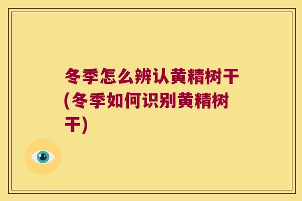 冬季怎么辨认黄精树干(冬季如何识别黄精树干)