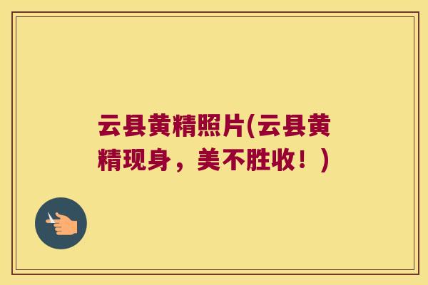 云县黄精照片(云县黄精现身，美不胜收！)
