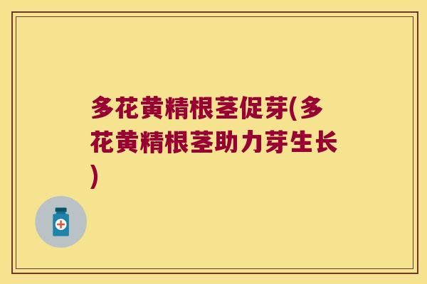 多花黄精根茎促芽(多花黄精根茎助力芽生长)