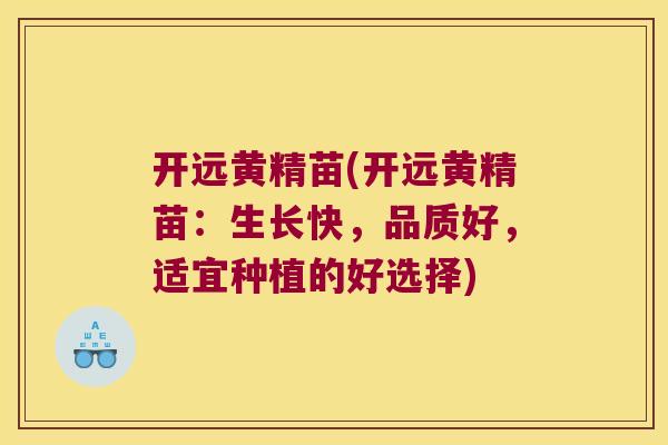 开远黄精苗(开远黄精苗：生长快，品质好，适宜种植的好选择)