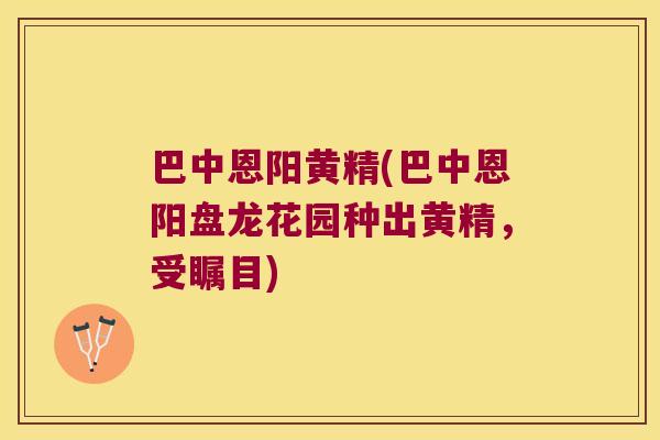 巴中恩阳黄精(巴中恩阳盘龙花园种出黄精,受瞩目) 巴中恩阳黄精(巴中恩阳盘龙花园种出黄精,受瞩目)